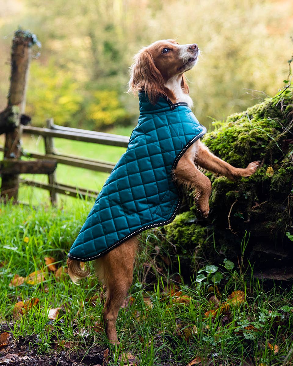 Barbour quilted hot sale dog jacket