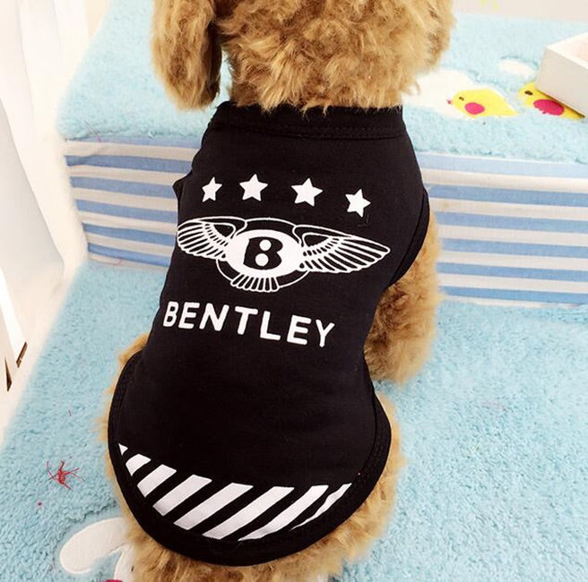 Bentley dog hot sale accessories