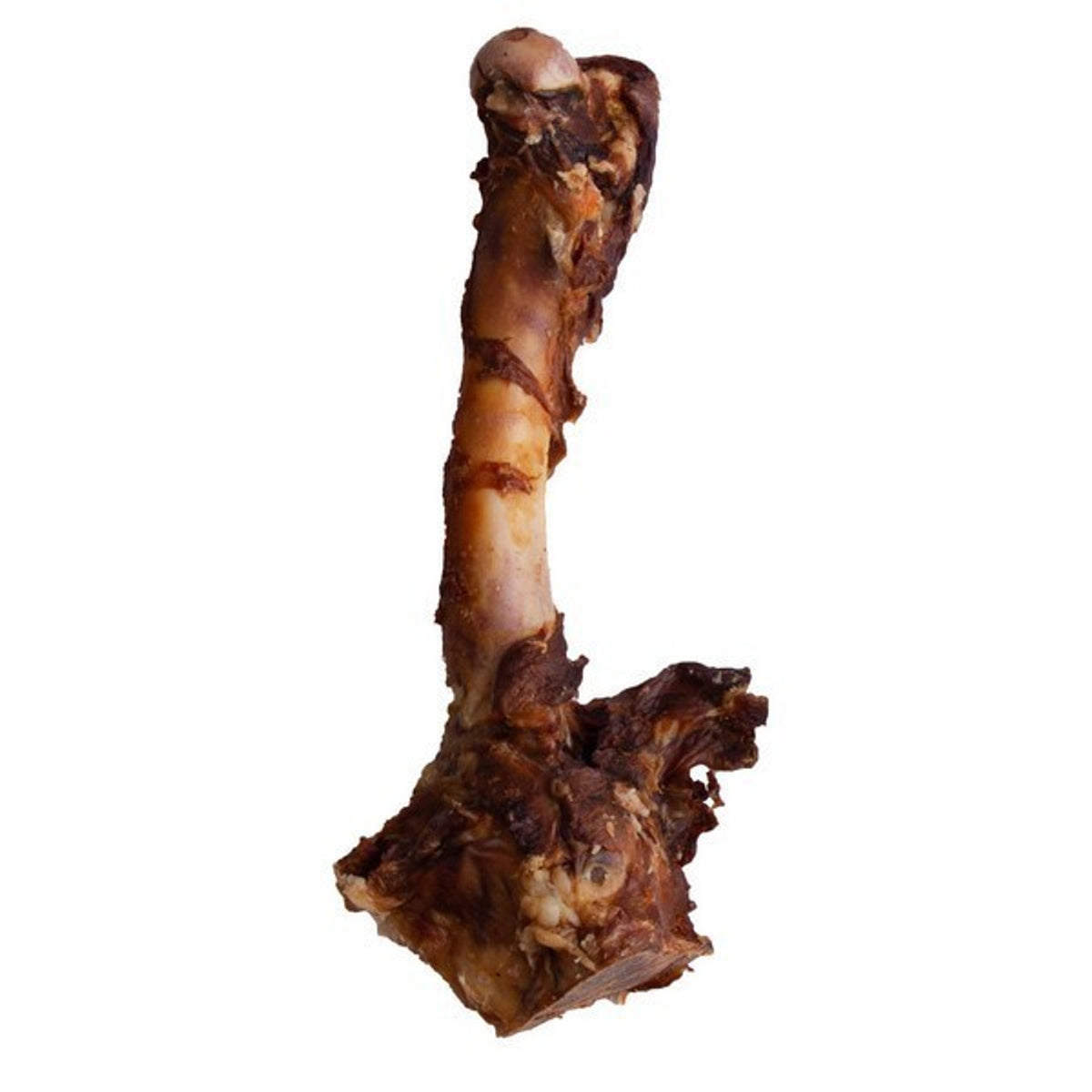 Doodles Deli Air-Dried Lamb Femur Bone