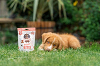 Puppy Bites - Low Cal Training Treats