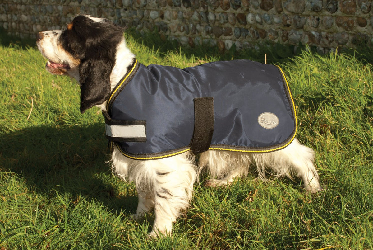 Waterproof Dog Coat