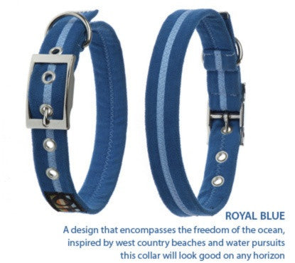 Luxury Dog Collars: The Best High End Collars Reviewed 2023